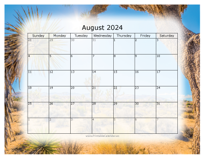 Colorful Calendar August 2024