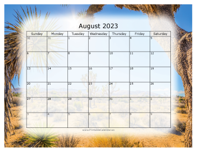 Colorful Calendar August 2023