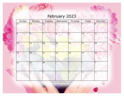Colorful Calendar February 2023