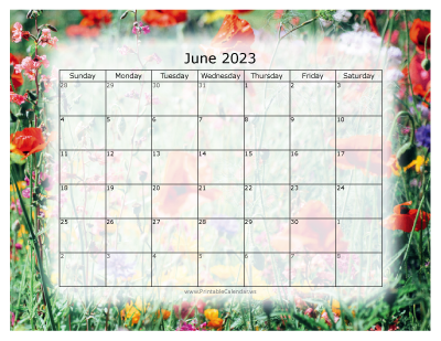 Colorful Calendar June 2023
