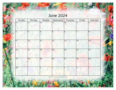 Colorful Calendar June 2024