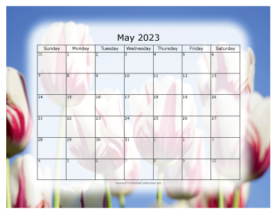 Colorful Calendar May 2023