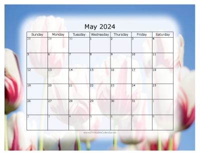 Colorful Calendar May 2024